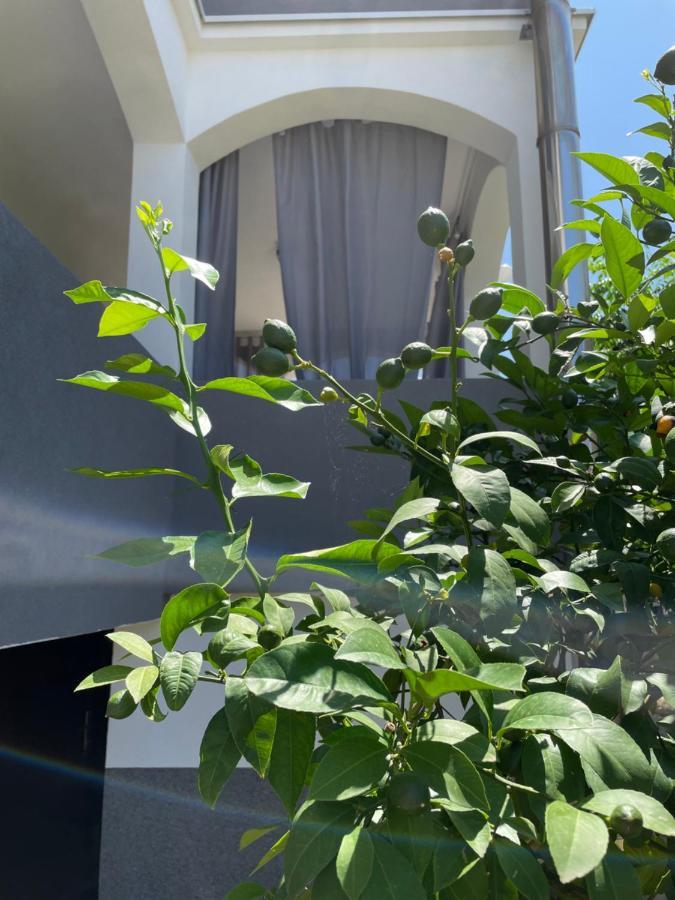 Mare Daire Zadar Dış mekan fotoğraf